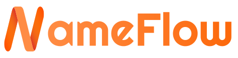 NameFlow - 国内全方位的域名交流论坛